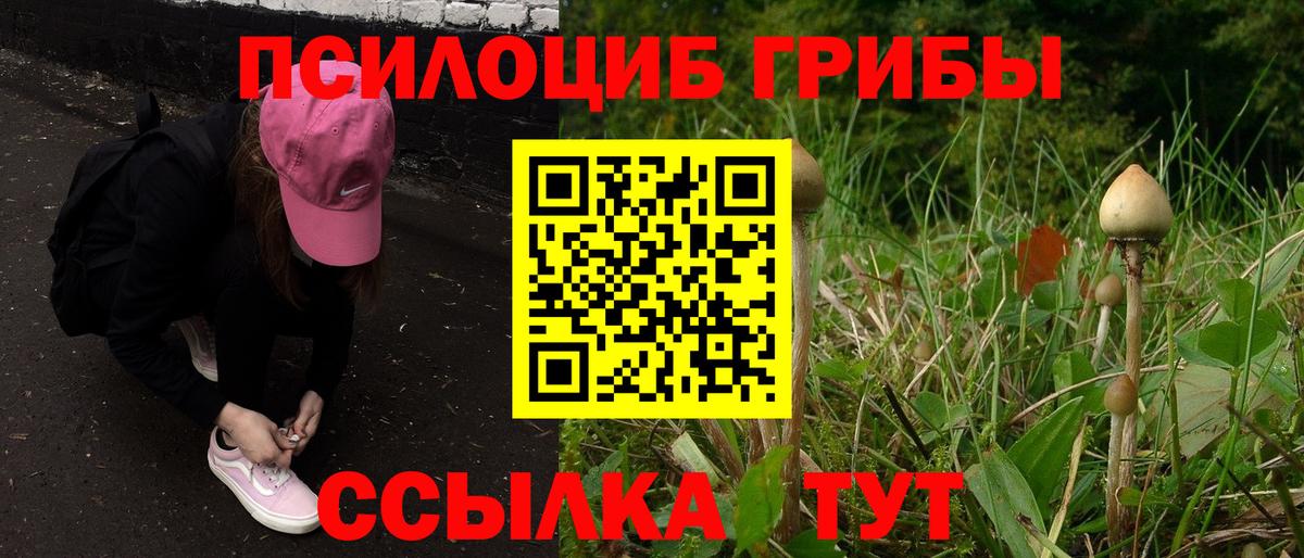 Псилоцибиновые грибы Magic Shrooms  Вход с VPN  Благодарный 